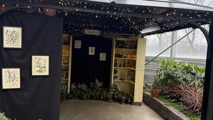 Une cabane abritant plusieurs fleurs séchées contenues dans des bocaux.