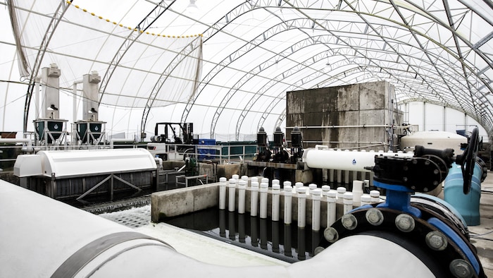 Aquaculture facilities with pipes and pumps.