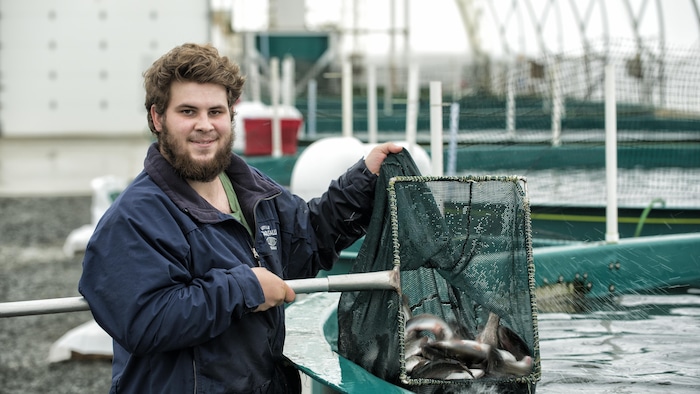 A man next to salmon.