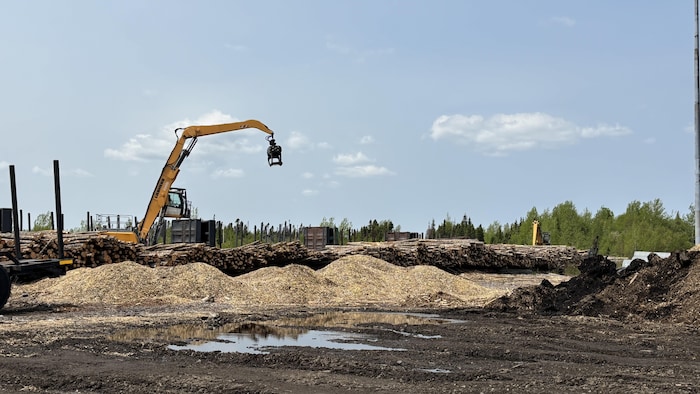 Une cour dans laquelle se trouvent des tas de billots et de copeaux de bois.