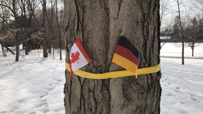 Les drapeaux canadien et belge accrochés sur un arbre à Rideau Hall.