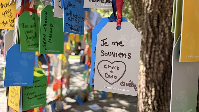 Des messages en hommage aux victimes du 11-Septembre sont accrochés sur un arbre qui a survécu aux attaques terroristes.