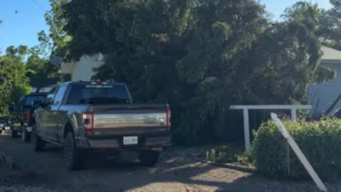 Un arbre tombé sur le toit de la maison. 