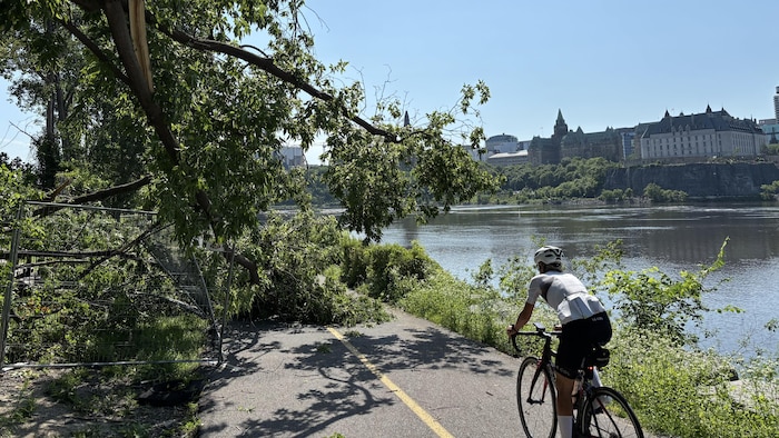 Un cycliste s'approche de la piste encombrée.