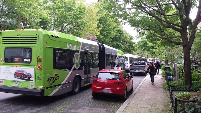 Des autobus circulent sur le boulevard René-Lévesque en été.