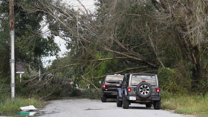 Des arbres tombés dans la rue.