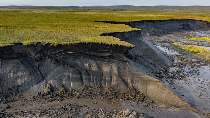Un littoral arctique.