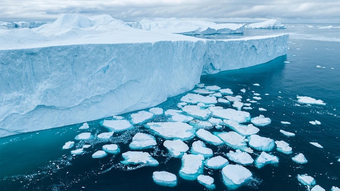 Des morceaux de glace flottent dans l’Arctique.