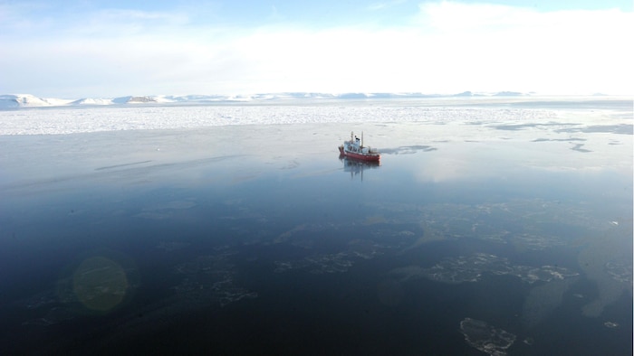Un bateau navigue dans des eaux glacées.