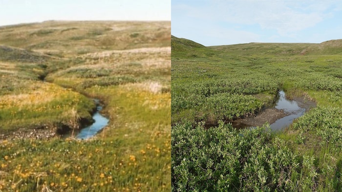 Deux photos du même lieu. Celle de droite présente une végétation plus luxuriante.