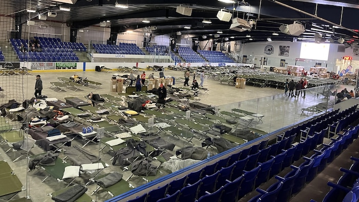 Des lits dans un aréna.