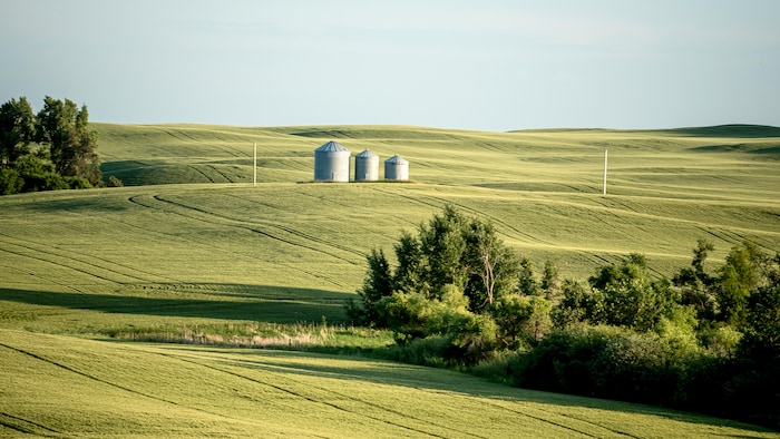 Un champ avec des silos