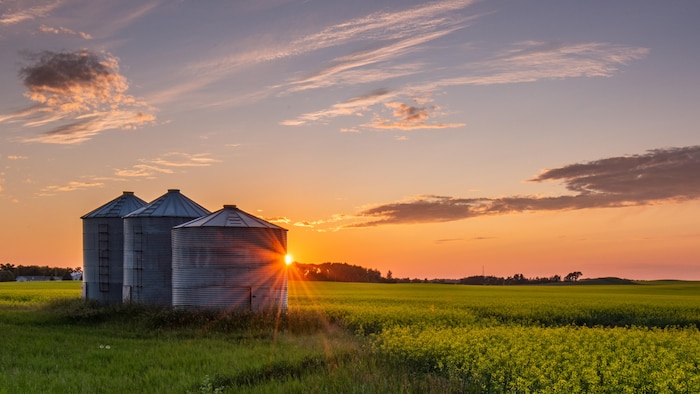 Un coucher de soleil dans un champ avec des silo à grain 