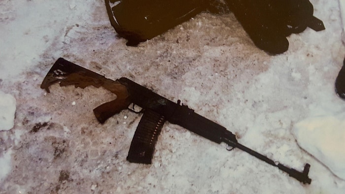 Fusil calibre 223 con cargador largo.