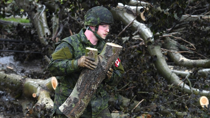 الكابورال (عريف) براندون ماكراي من القوات المسلحة الكندية يساهم في إزالة الأشجار التي تغلق الشوارع في مدينة غلايس باي في جزيرة كيب بريتون في شمال شرق نوفا سكوشا.