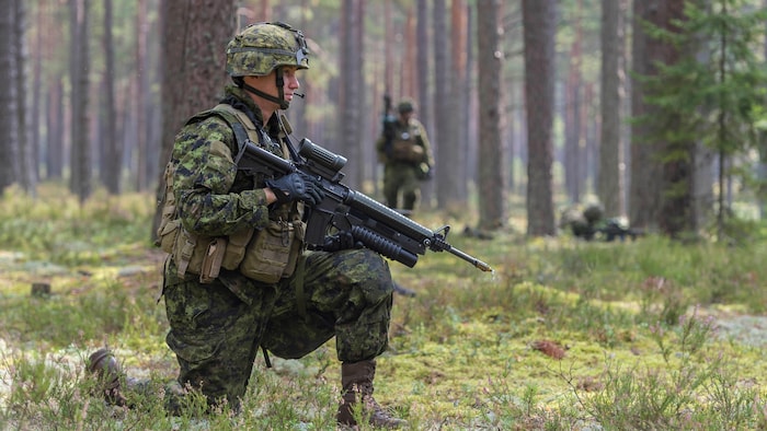 Un militaire dans la forêt.