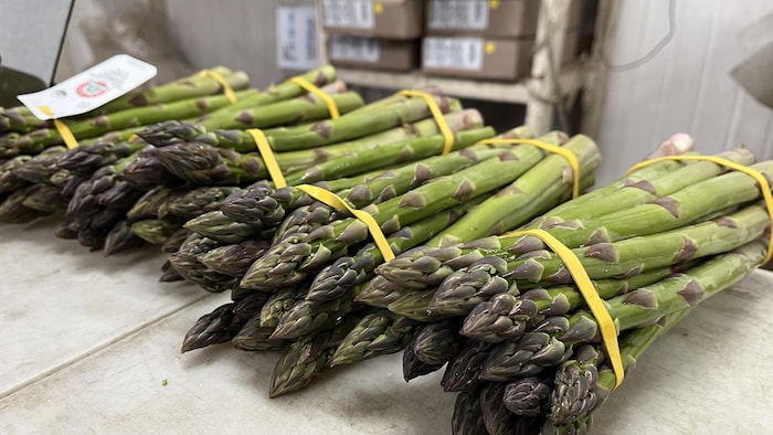 Des asperges en gros plan.