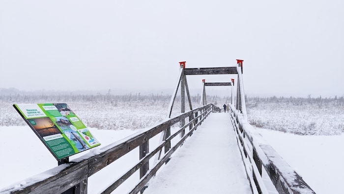 Un sentier du Marais de la Rivières-aux-Cerises, à Magog.