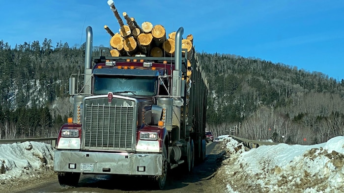 Un camion plein de bois coupé sur un pont.