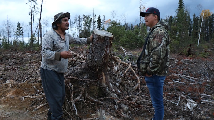 Deux hommes discutent au milieu d'une forêt coupée, une souche se trouve entre les deux. 