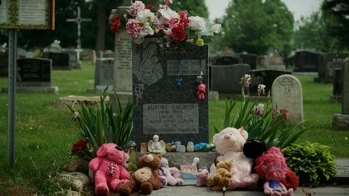 Des peluches et des fleurs sur la tombe d'Aurore Gagnon. 