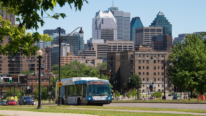 Un autobus de la STM sur l'avenue du Parc, à Montréal.