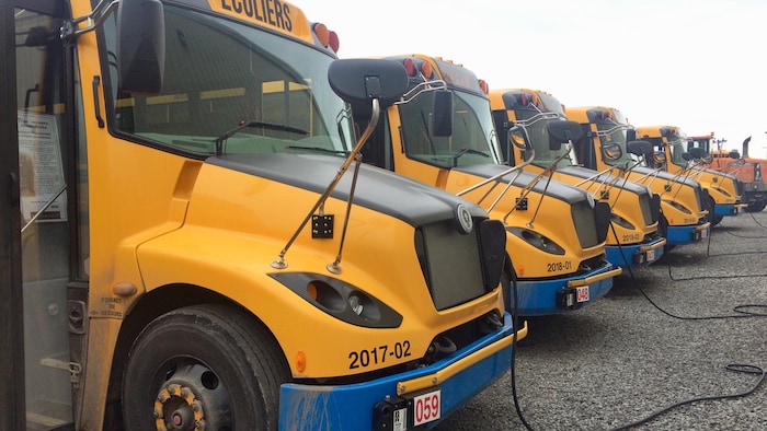 Une série d'autobus scolaires électriques branchés aux bornes de recharge.