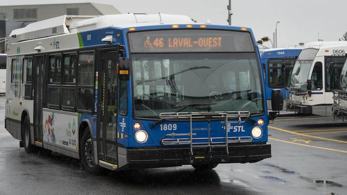 Un autobus de la STL.
