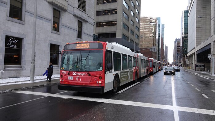 Des autobus d'OC Transpo attendent en fil sur une rue du centre-ville d'Ottawa.