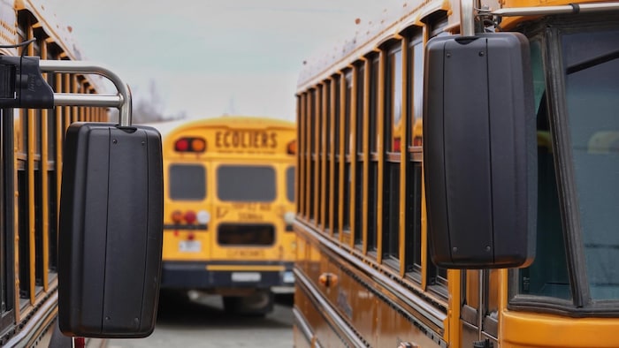 Des autobus scolaires.