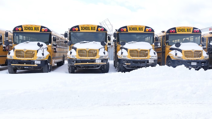 Des autobus scolaires stationnés dans la neige, avec un peu de neige qui les recouvre.