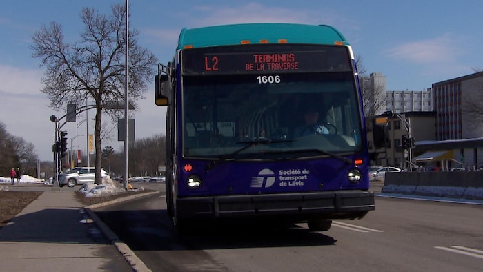 Un autobus de la Société de transport de Lévis sur le campus de l'Université Laval au printemps. 