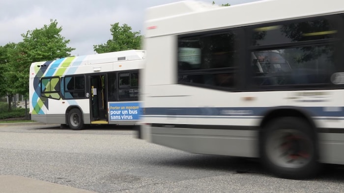 Des autobus de la Société de transport de Sherbrooke, dont un est en mouvement.