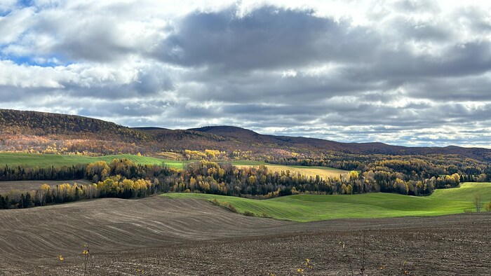 Des montagnes de feuillus et des champs vallonneux à l'automne.