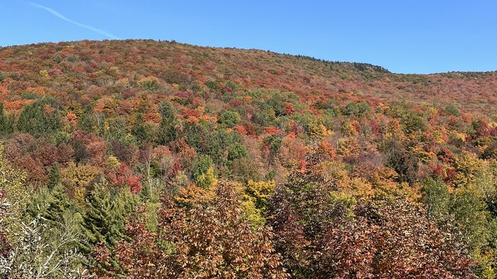 C’est l’été en automne! | Radio-Canada
