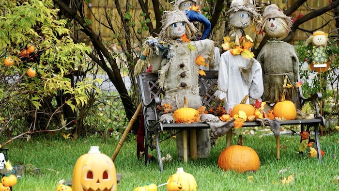 Un décor d'Halloween, formé de citrouilles et d'épouvantails, sur un terrain.