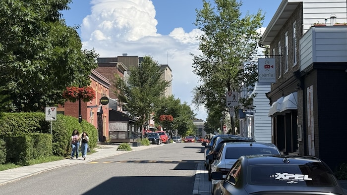 Deux piétonnes marchent le long d'une rue bordée d'arbres, de commerces et de voitures stationnées.