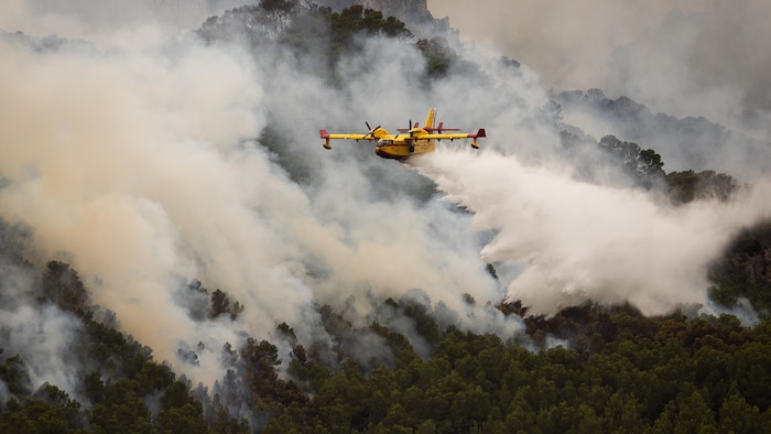 Un avion arrose une forêt en feu.