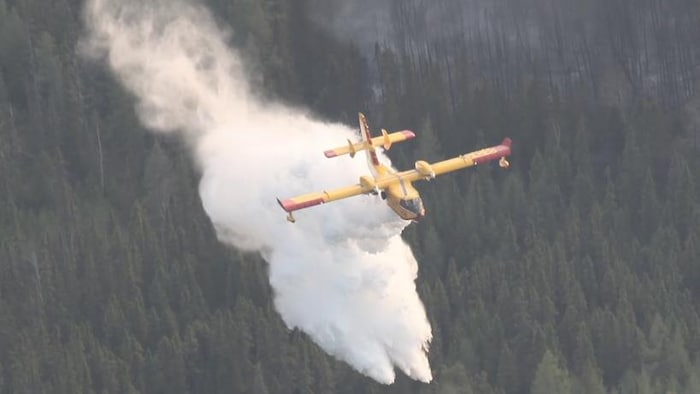 Un avion CL-415 qui combat un feu de forêt.