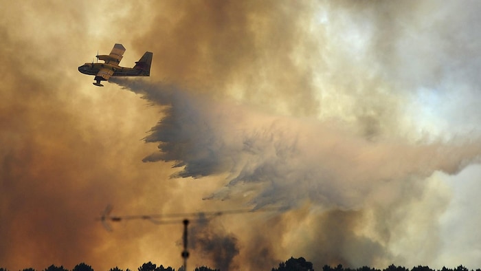 طائرة ’’كاندير‘‘ تساهم في إخماد حريق غاباات في البرتغال.