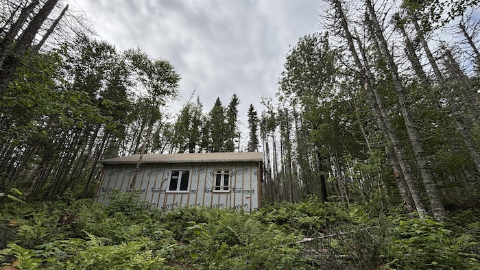 Un chalet dans la forêt.