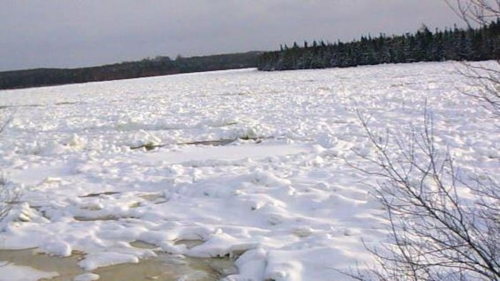 Une capture d'écran d'une webcam du gouvernement braqué sur la rivière Exploits. 