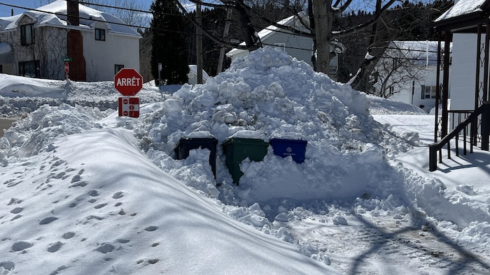 Des poubelles sous la neige.