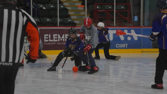 Des joueurs de ballon sur glace en action sur une patinoire.