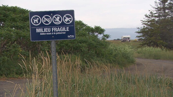 Le banc de Saint-Omer, un lieu recherché par les amateurs de camping sauvage.