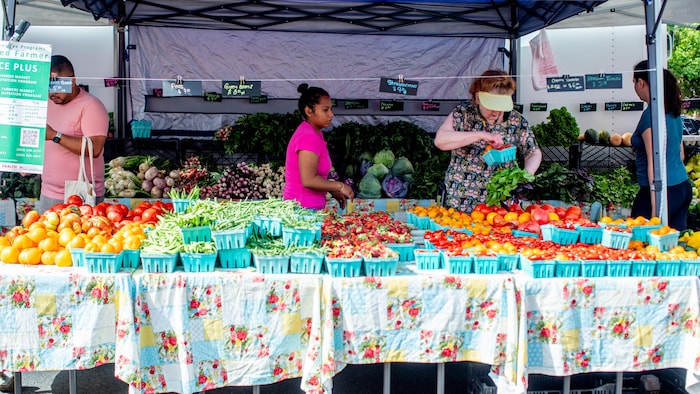 Une table remplie de fruits et de légumes et des employés qui préparent les paniers.