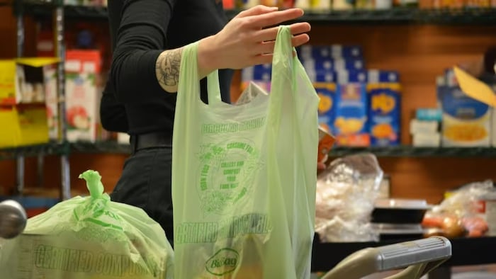 Une personne tient un sac d'épicerie.