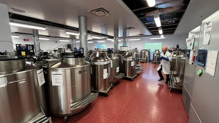 Des cuves en acier dans une salle éclairée.