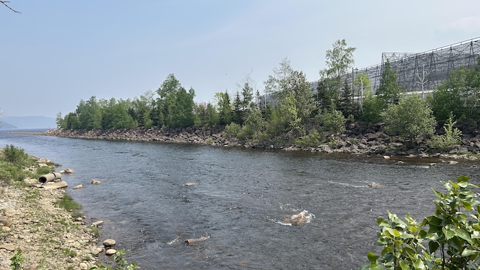 Les berges de la rivière à Mars.