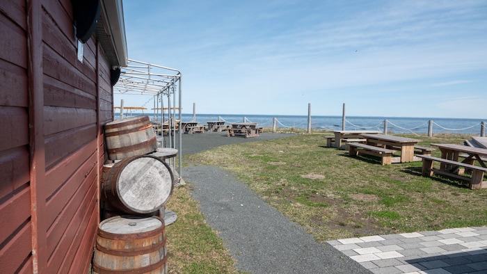 Des tables à pique-nique installées près du bord du fleuve